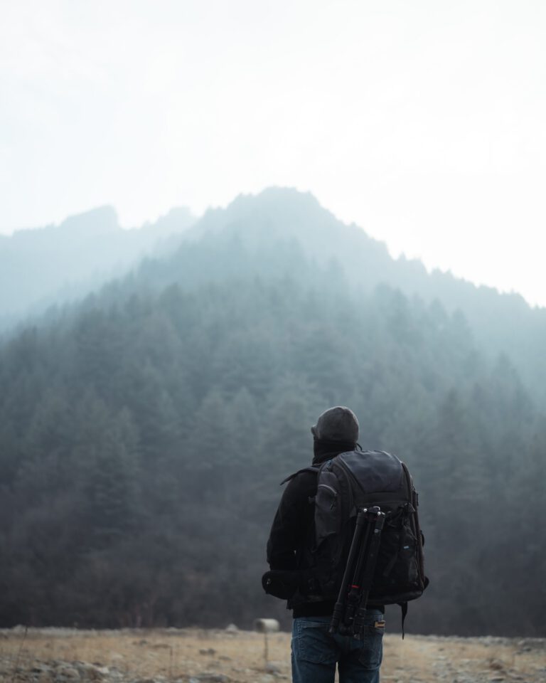 „Geld-Mindset-Mastery: Die Psychologie des Wohlstands“